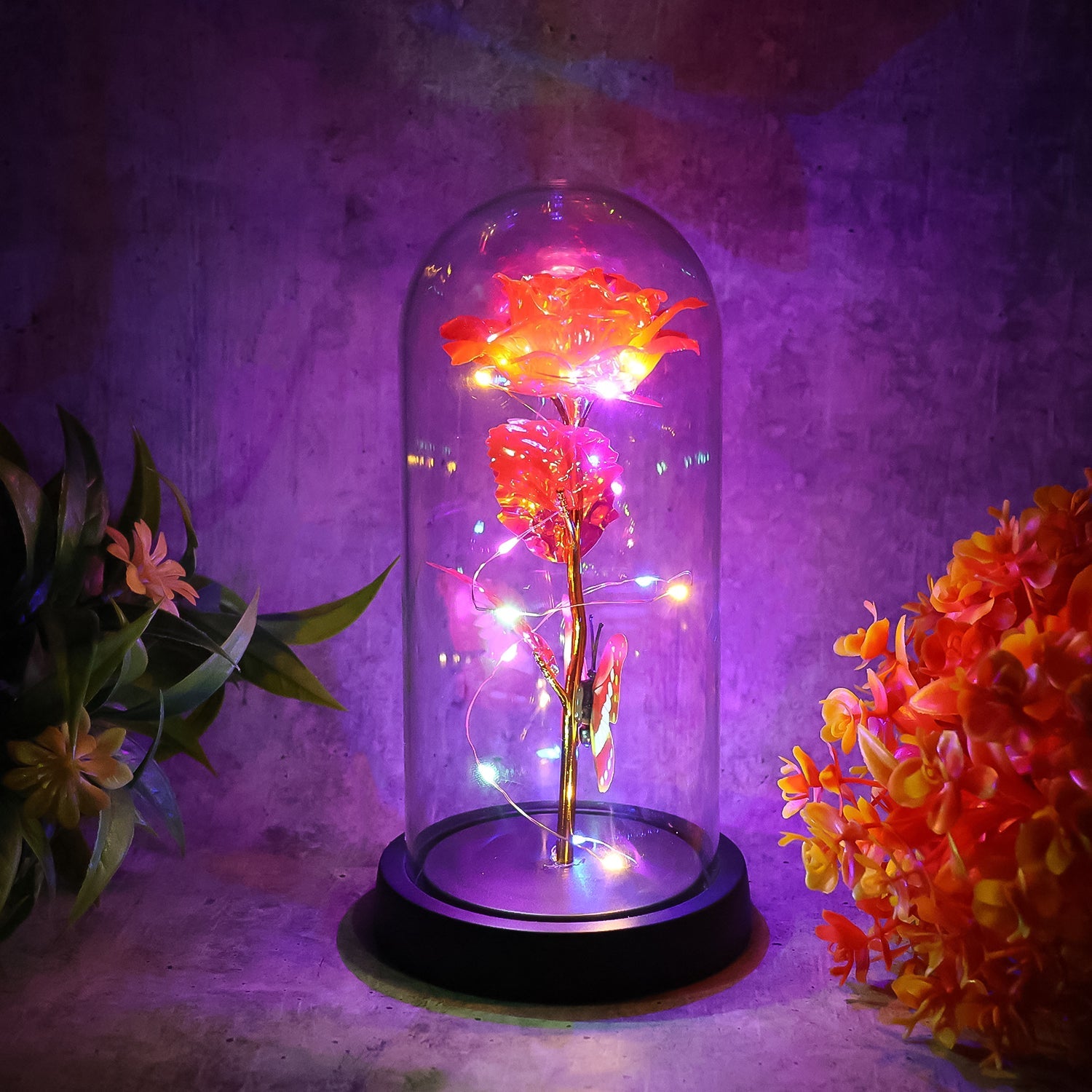 Elegant LED Eternal Rose in Plastic Dome (1 Pc / Battery Not included) Elegant LED Eternal Rose in Plastic Dome (1 Pc / Battery Not included)